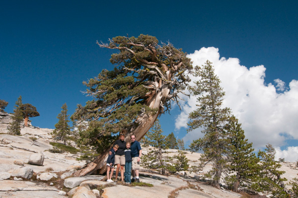 yosemite-history-1-12